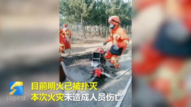 32秒丨烟台蓬莱山林大火已被扑灭 起火原因已查明