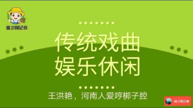 传统戏曲娱乐休闲,王洪艳,河南人爱哼椰子腔