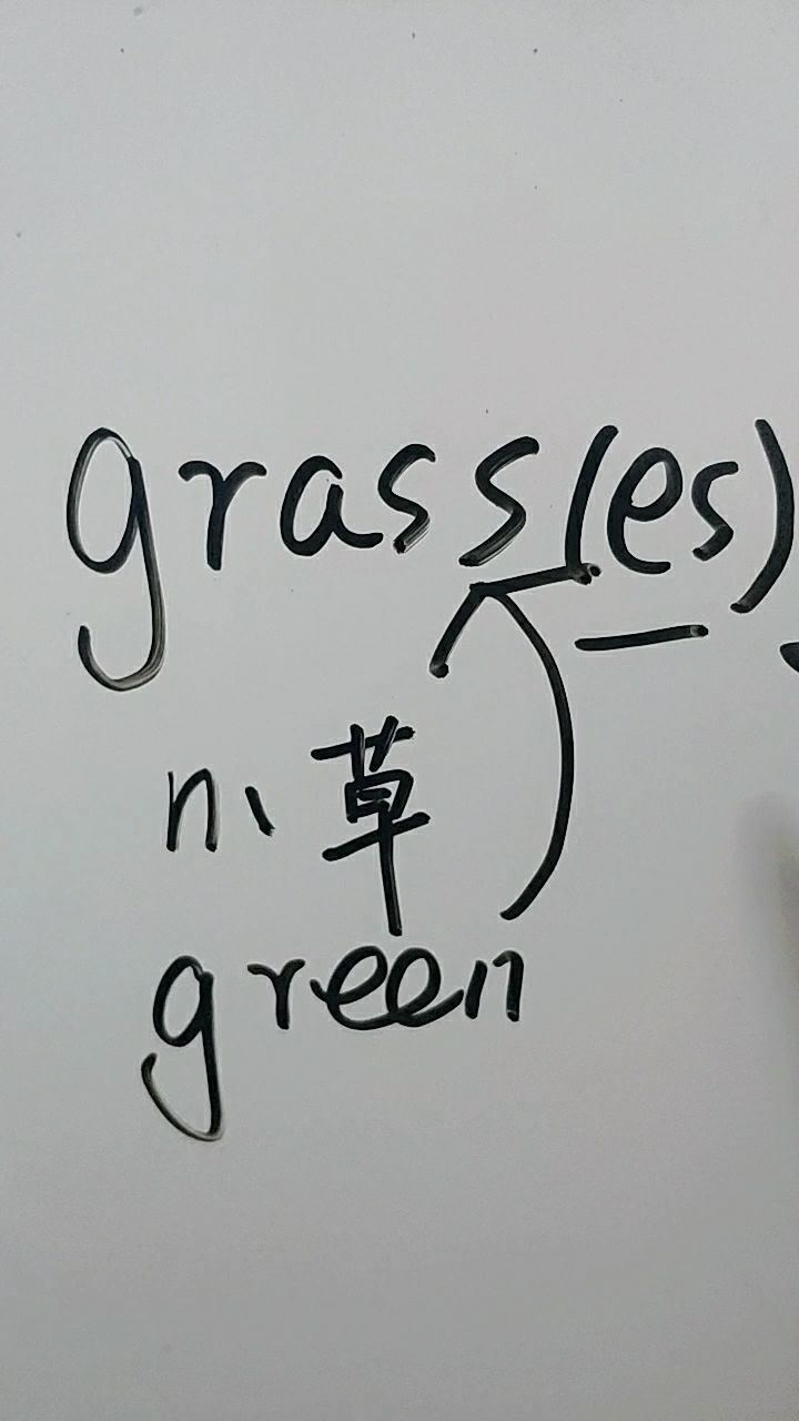 grass简笔画图片