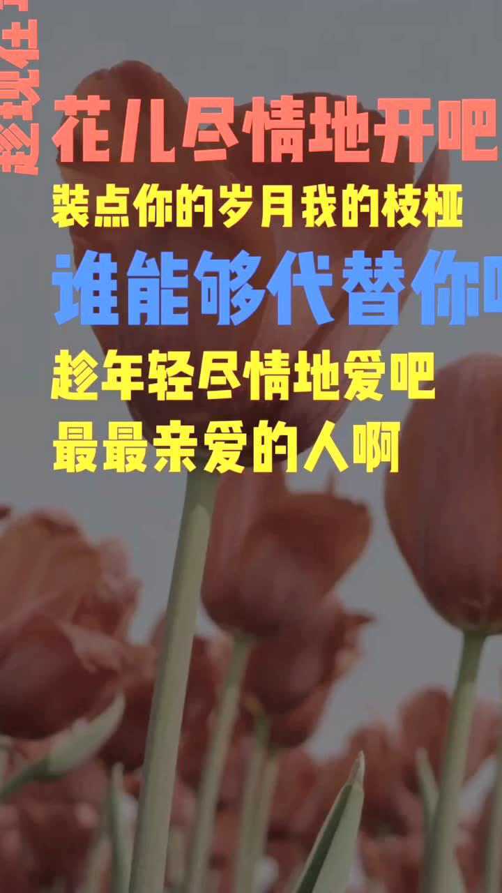 路途遥远我们在一起吧