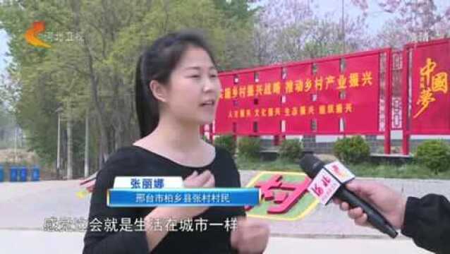 河北:攻克难点 打造亮点 全方位提升城乡环境品质