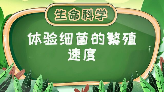 第405集 体验细菌的繁殖速度