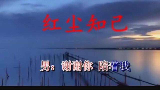 一曲《红尘知己》唱哭很多人,伤感流泪很痛心