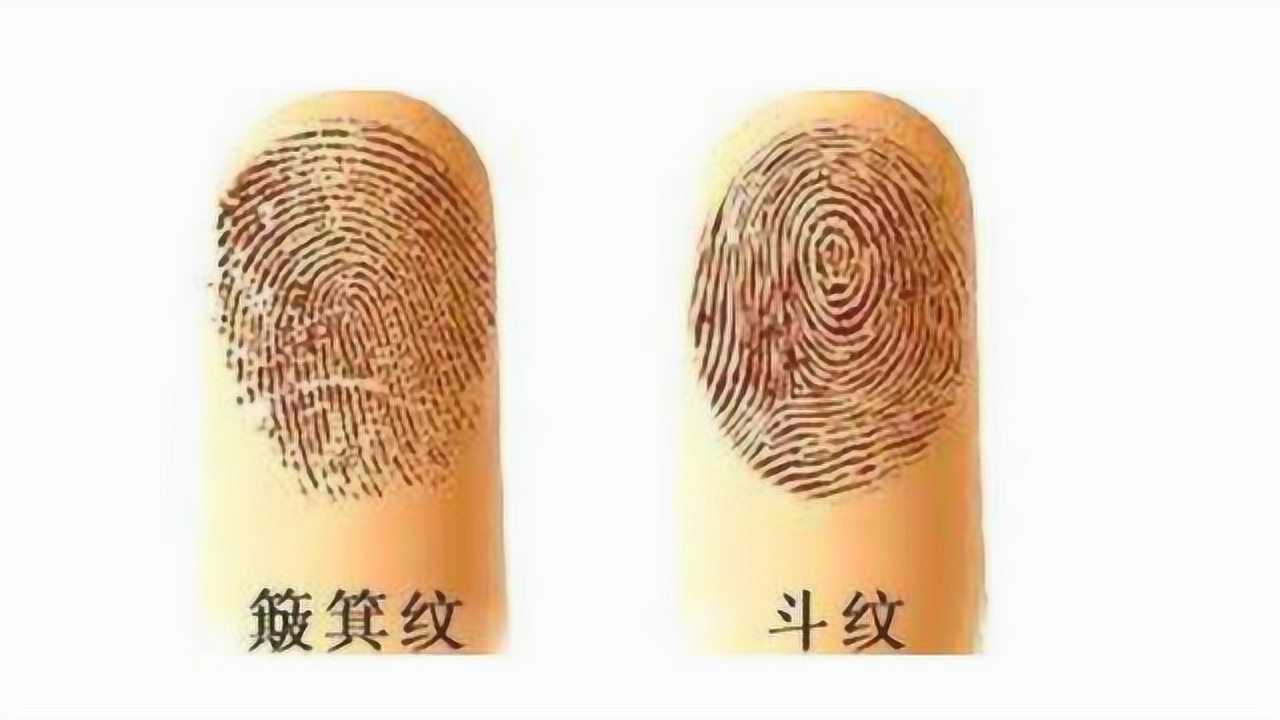 农村老人说十个簸箕没有斗只朝外簸没处容具体是什么意思