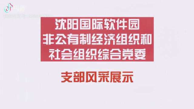 沈阳国际软件园党建阵地风采录