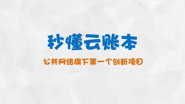 秒懂公共网络之云账本