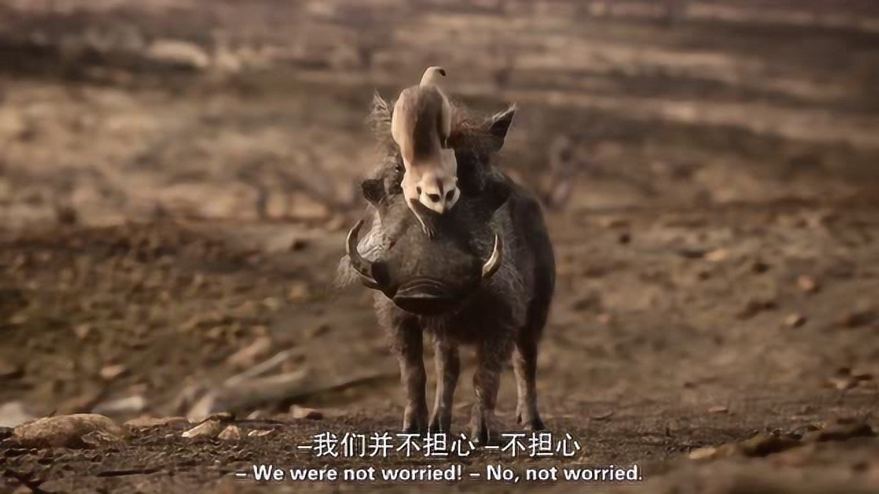 狮子王辛巴的后援大军疣猪和丁满来也