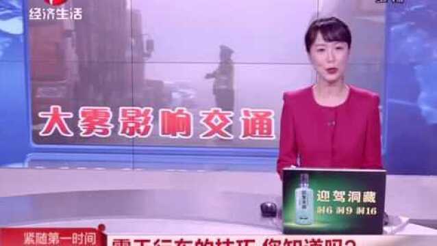 交警支招:雾天行车的技巧,您知道吗?