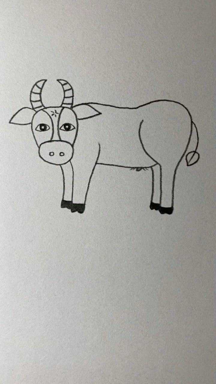 公牛的简笔画简单图片