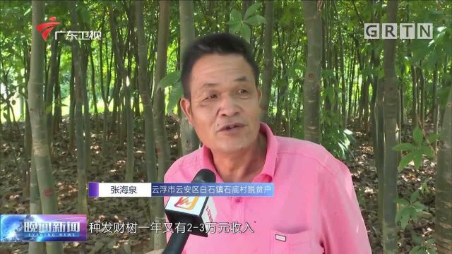 广东决战决胜脱贫攻坚 高质量打赢收官战 云浮云安:一户一策开