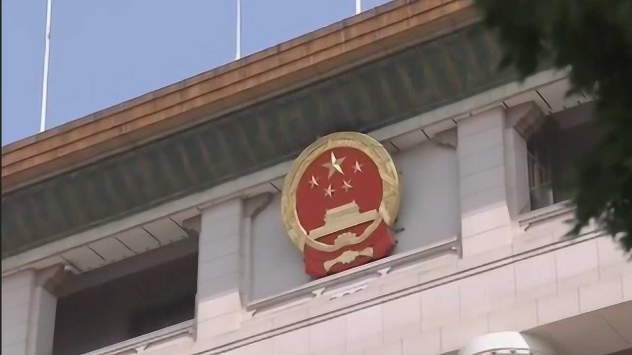 70秒带你看懂全国人民代表大会:人大代表怎样代表人民发声的_高清1080P在线观看平台_腾讯视频