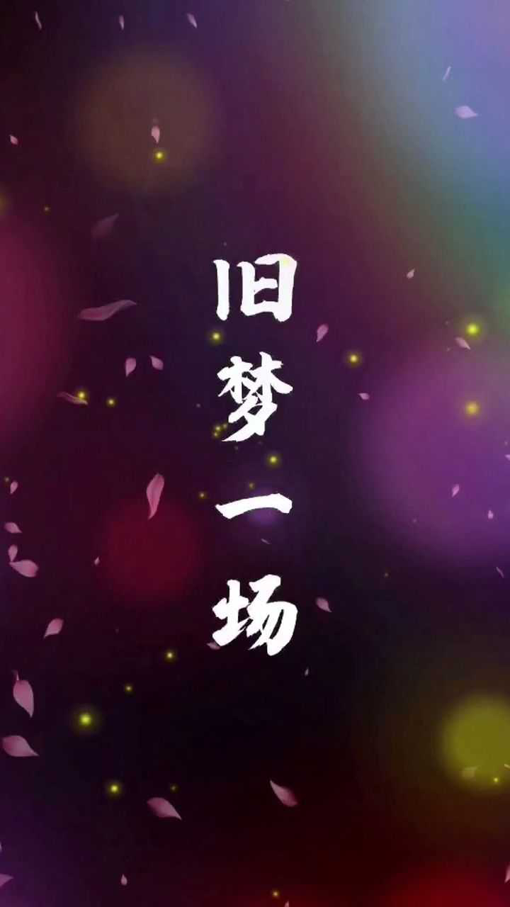 早知惊鸿一场何必情深一往昨日人去楼空泪微凉道不尽缘本无常情如风过