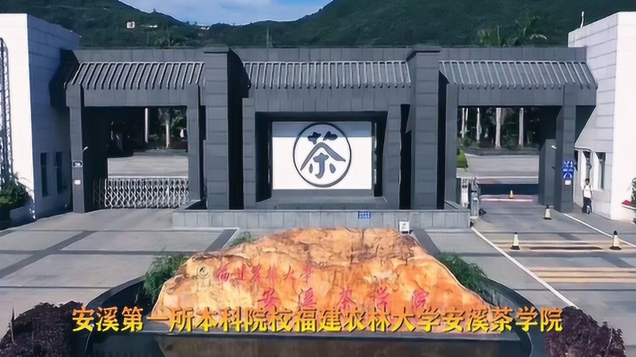 全国唯一一所涉茶公办本科院校福建农林大学安溪茶学院