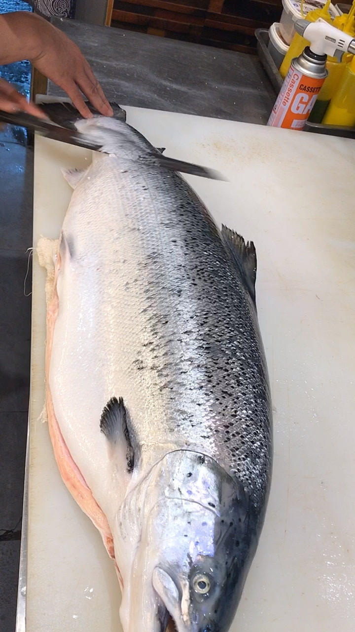 三文鱼去鱼鳞全过程,有喜欢的吗?