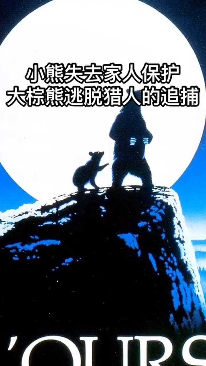 两只孤独受伤的棕熊得以慰藉推荐电影熊的故事1988