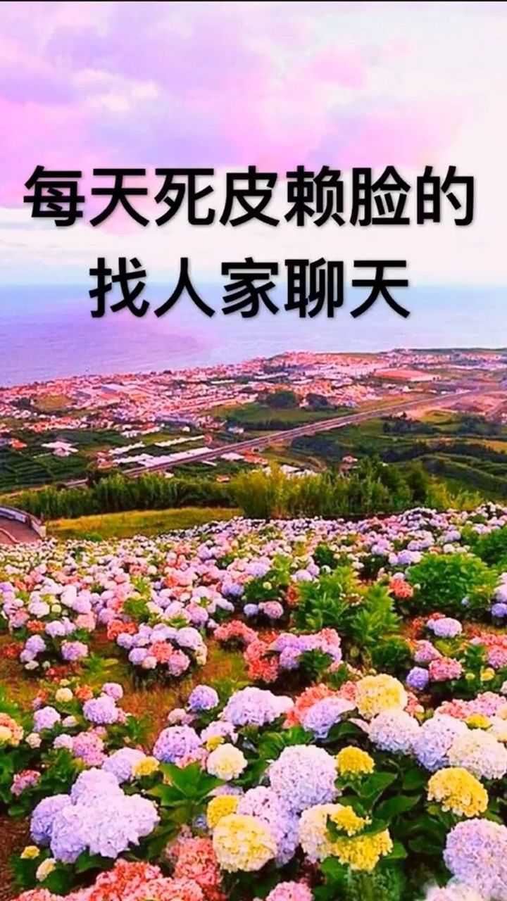 为什么每天死皮赖脸的找人聊天