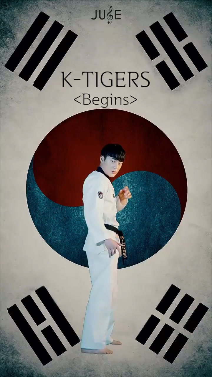 韩国虎队跆拳舞begins上