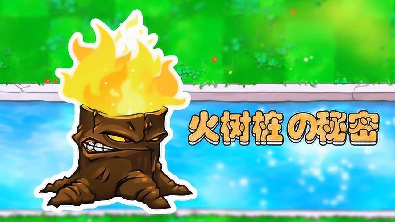 植物大战僵尸95版火树桩的秘密开启三线射手的最强状态