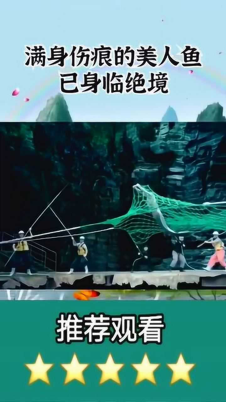 浑身是伤的美人鱼,已经被人类折磨到无处可逃,太惨了