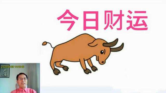 属牛,今日相冲,财运不佳