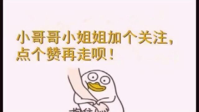 什么是沼泽,这就是.