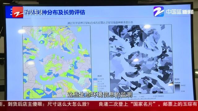 5000千米高空“天眼”助力浙江大花园建设 互联网大会前实现!