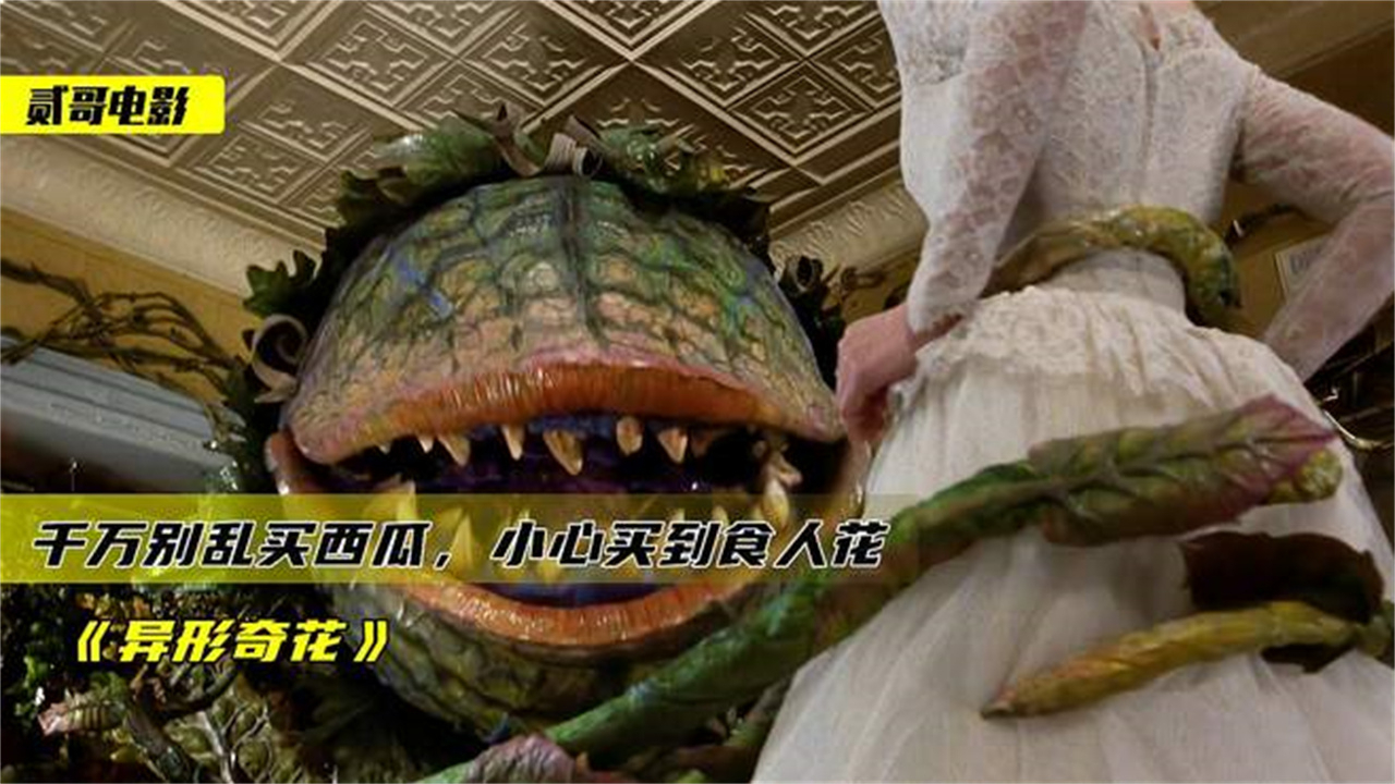 电影:小伙买了盆西瓜,结果没想到却是朵食人花,自己和女友双双被吞