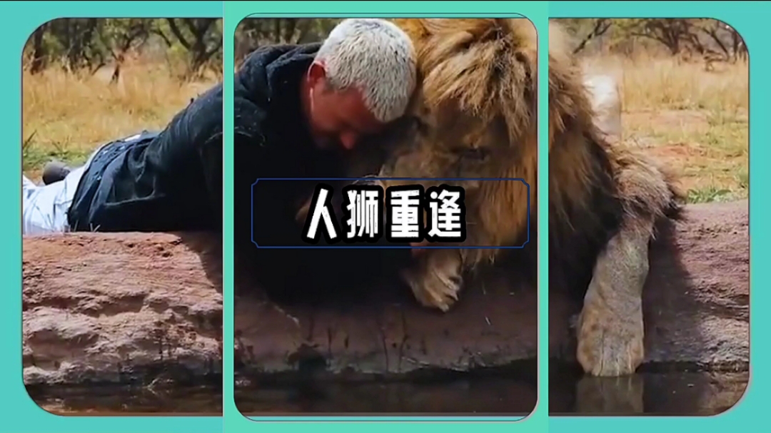 狮王德克斯特:迪哥,你我情深,永不相忘