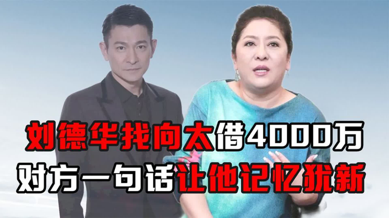 刘德华找向太借4000万