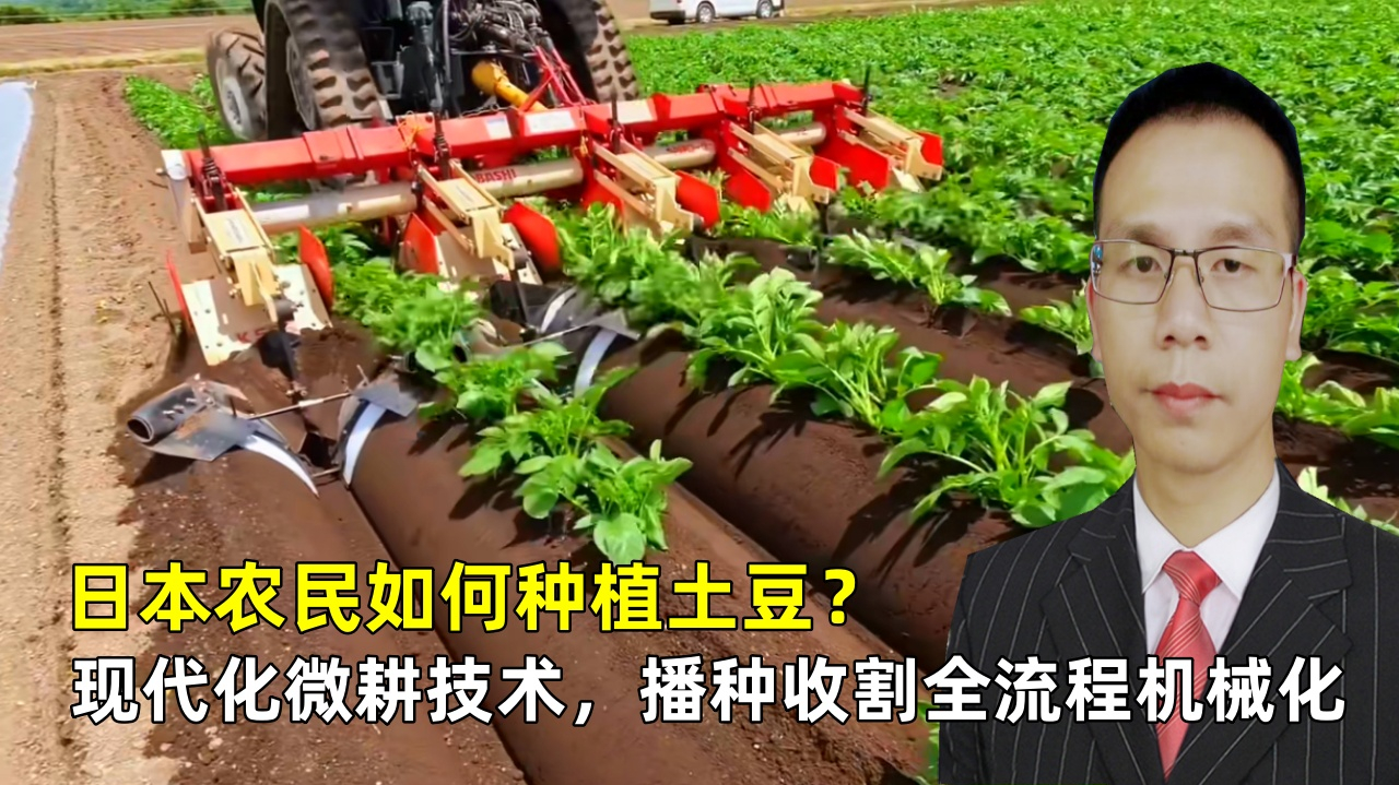 日本农民如何种植土豆?现代化微耕技术,播种起垄收割全流程机械化!