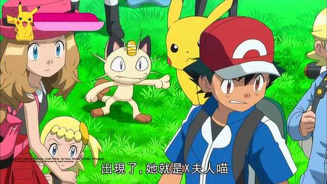 momo亲子台乌贼王神奇宝贝xy全系列│pokemon精灵宝可梦周一周五晚上6