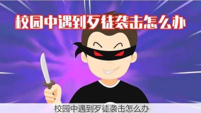 7校园安全校园中遇到歹徒袭击怎么办mpg