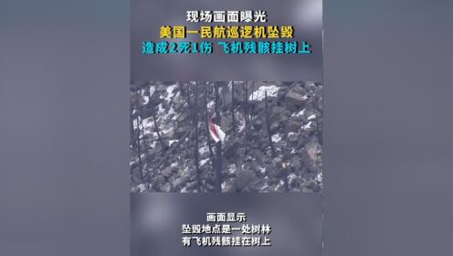 现场画面曝光 美国一民航巡逻机坠毁造成2死1伤 飞机残骸挂树上 #美国