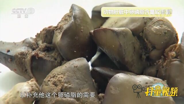 动物性食物和植物性食物搭配摄入,能够补充丰富的卵磷脂