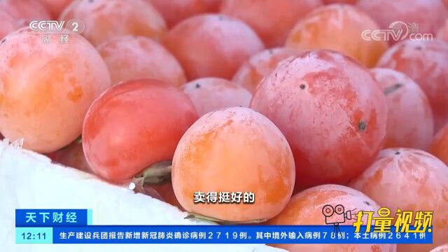 黑龙江黑河:露天市场特色冻货走俏