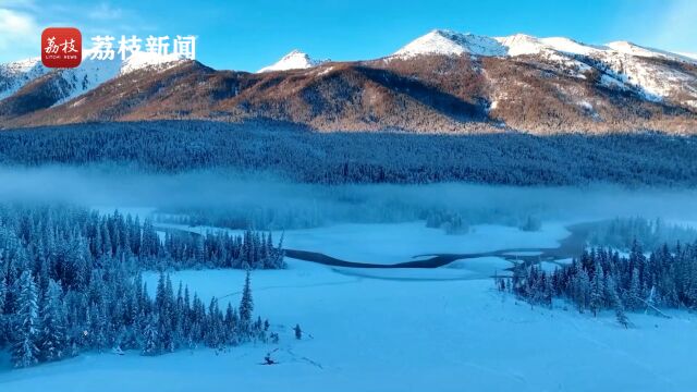 惊艳!冬日喀纳斯晨雾缭绕仙气飘渺如雪国仙境