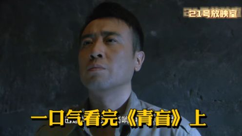 王牌特工，越狱传奇！一口气看完大型国产连续剧《青盲》上