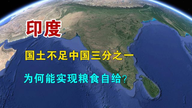 印度人口13亿,领土面积不足中国三分之一,为何能实现粮食自给?