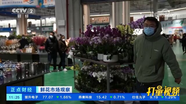 云南昆明:年宵花登场,花卉绿植销售迎来旺季