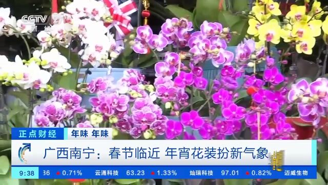 广西南宁:春节临近,年宵花装扮新气象