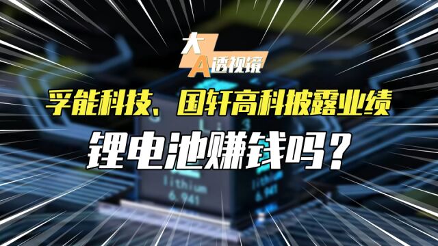 孚能科技、国轩高科披露业绩,锂电池赚钱吗?