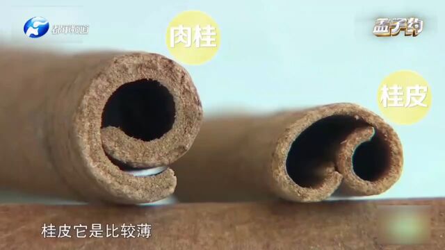 桂皮和肉桂傻傻分不清楚?专家教你一招,以后就不会买错了