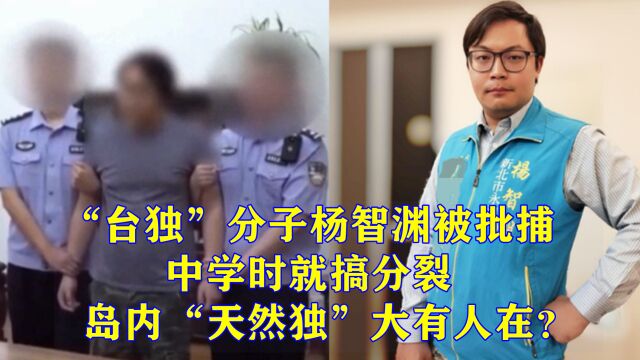 “台独”分子杨智渊被捕,中学时就搞分裂,“天然独”已成祸患?