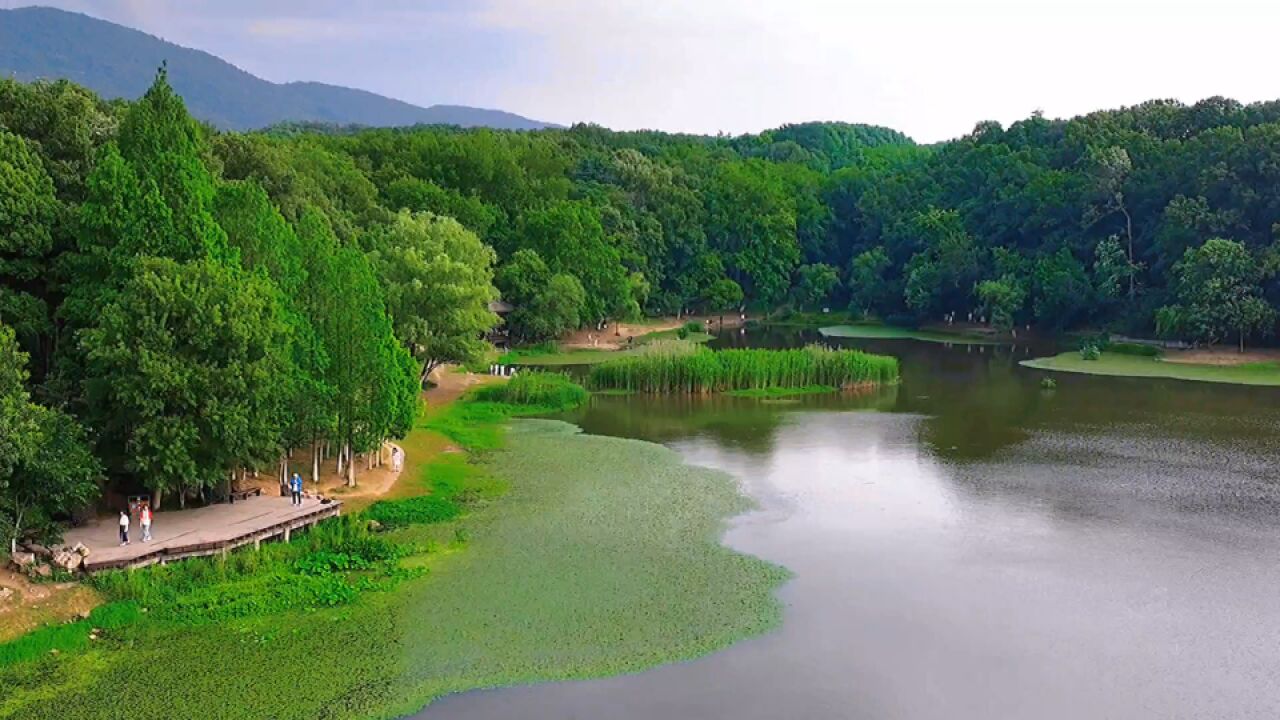 南京琵琶湖风景区门票图片