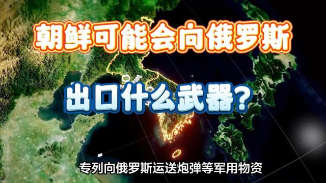 朝鲜可能会向俄罗斯出口什么武器?外媒:三种导弹,一种坦克