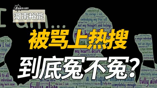 定增募资65亿,却被骂上热搜,磷酸铁锂龙头,湖南裕能割韭菜吗?