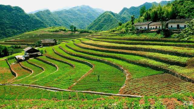 在农村大田地建房,缴纳耕地占用税,之后能办理宅基证吗?