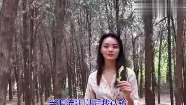 凤凰传奇的一首《爱的狂怒》,经典歌曲,完美演绎