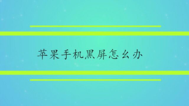 苹果手机黑屏打不开怎么办呢