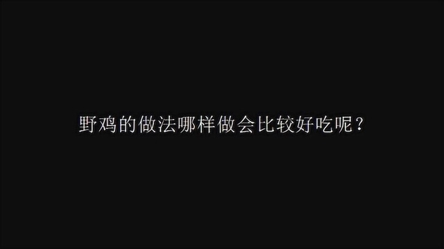 野鸡的做法哪样做会比较好吃呢?